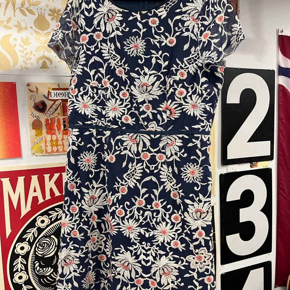 Adrianna Papell Navy Dress with Pink and White Embroidery
